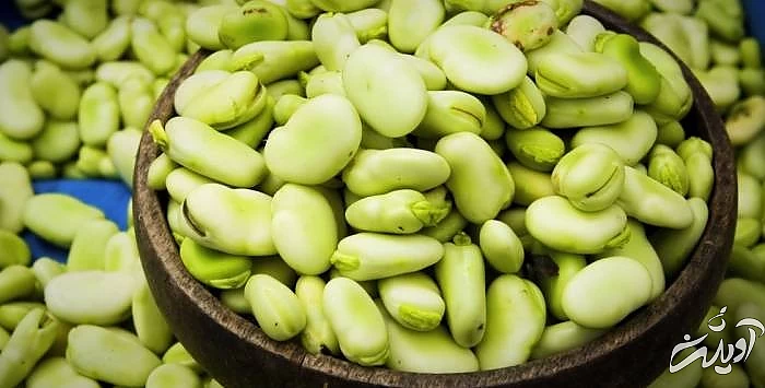 برای خشک کردن باقلا 